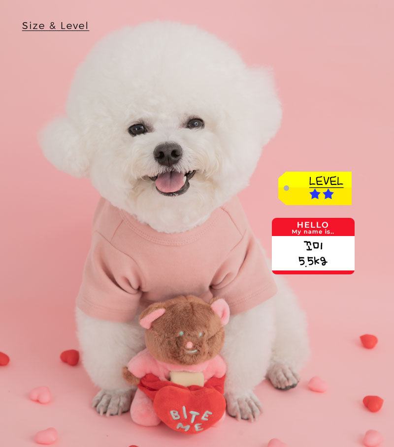 Love Bear Nosework Toy