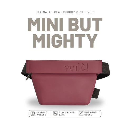 Pre-order: Ultimate Treat Pouch (Delivery Mid-September)
