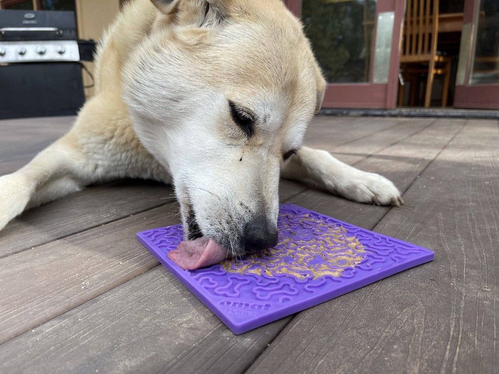Bones Design Emat Enrichment Licking Mat