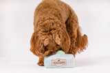 Dog finding plush macarons in the P.L.A.Y. Mutt-a-rons box