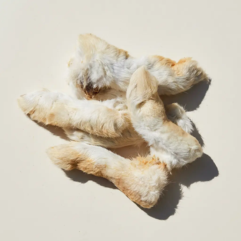 Rabbit feet with fur on a neutral background