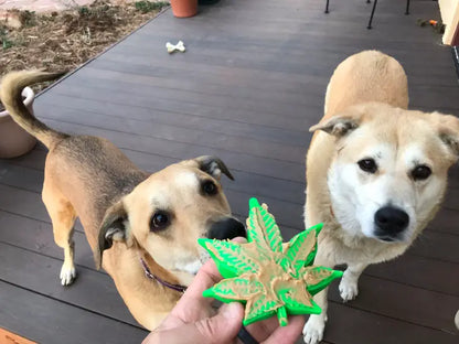 Colorado "Maple Leaf" Durable Nylon Dog Chew Toy