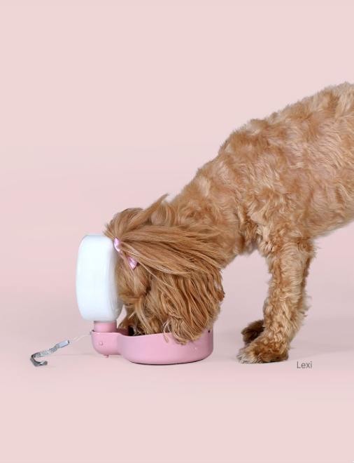 PINGUI - Designer Travel Bottle for Dogs - Pink