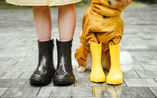 Dog in a yellow raincoat and boots beside its person