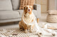 Dog sitting among scattered rolls of paper at home