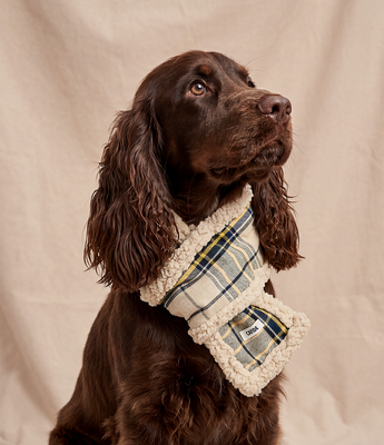 Scarves