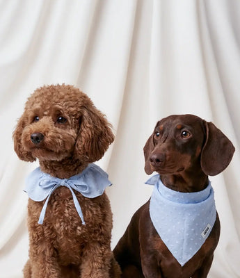 Bandanas