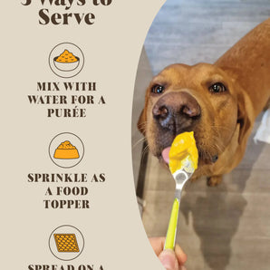 Bestseller Trio Bundle: Pumpkin, Goats Milk & Chicken Bone Broth Powder