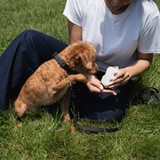 Faire gallery 7 01e7b578: Springland Pets Silicone Dog Treat Dispenser in Oat
