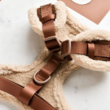 Close-up van Brown Aviator tuig met banden, gesp, D-ring en zachte voering