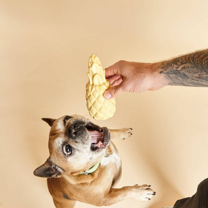 Pineapple Shaped Squeaky Dog Toy