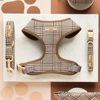 Pup Plaid harness and matching collar arranged in a product flat lay