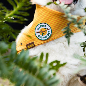 Nature Enthusiast iron-on patch for dogs