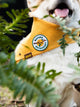 Nature Enthusiast opstrijkpatch
