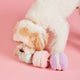 Interactief macaron-snuffelspeeltje voor honden