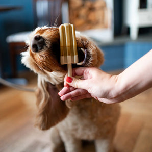 Pup Ice Lolly