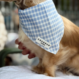 Zijaanzicht van een goudkleurige langharige hond met de Cocopup London English Blue Bandana