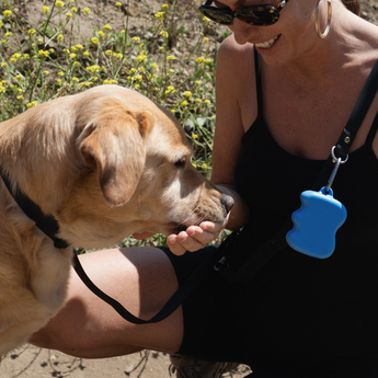 Springland Pets Silicone Dog Treat Dispenser in Blueberry, image 3