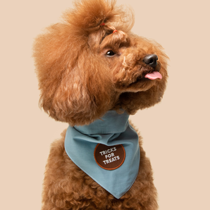 Tricks for Treats iron-on patch for dogs