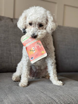 White dog holding a Smokey Bacon Meaty Licks peanut butter pouch on a sofa