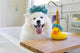 P.L.A.Y Splish Splash Shower Quack