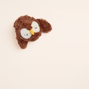 Animated view of the Owl 2-in-1 Bounce dog toy