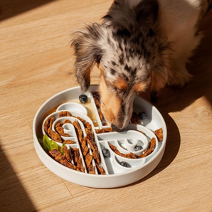 Official brand photo: Zoomies slow feeder bowl | Blueberry, view 2