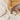 Bole - Bone Ceramic Dog Feeder Bowl - White