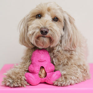 Puff And Play Toy (4 Nuggets Included)