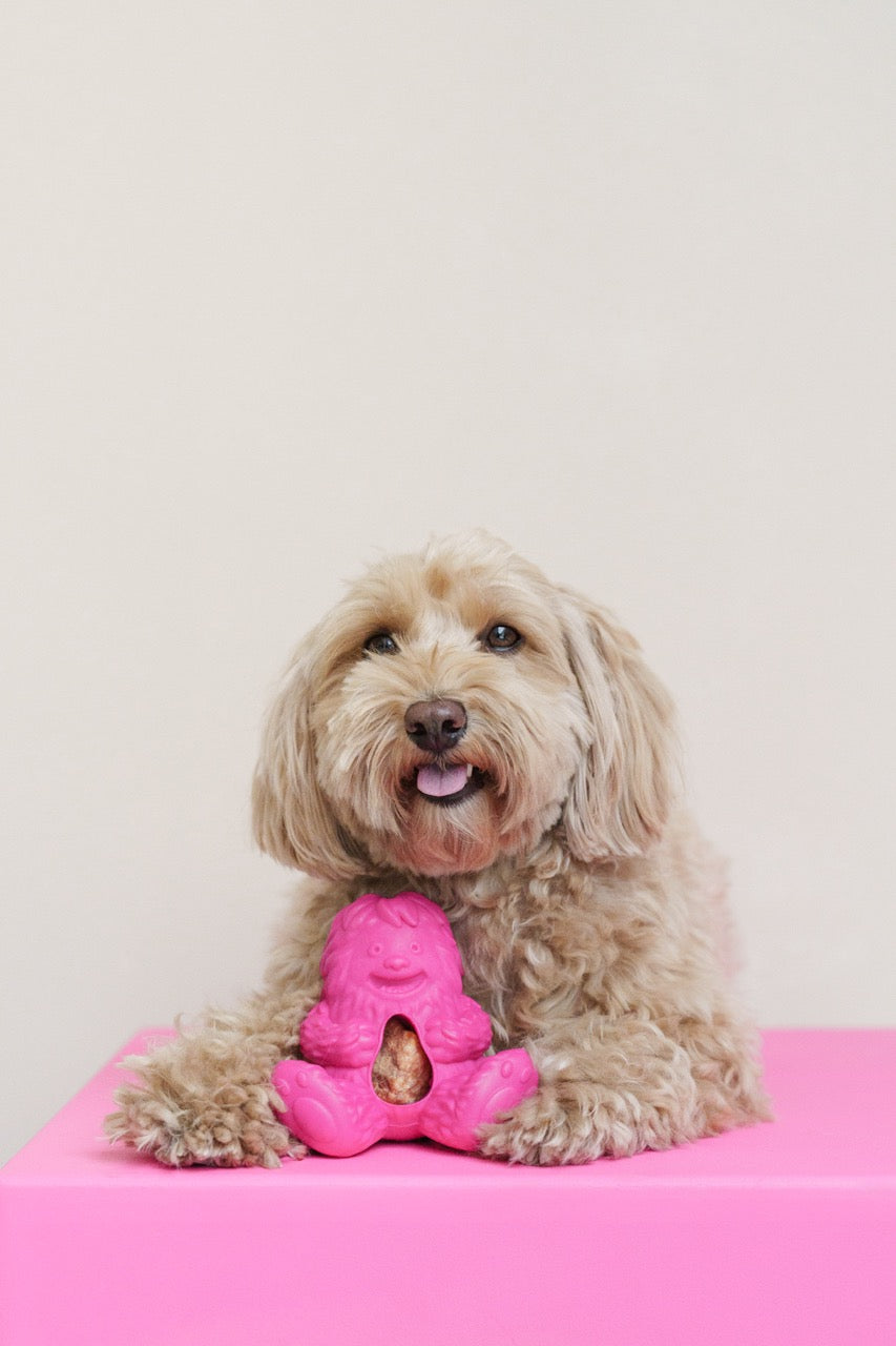 Yellow Puff and Play toy with refill nuggets