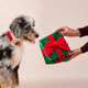 Interactief cadeau-snuffelspeeltje voor honden