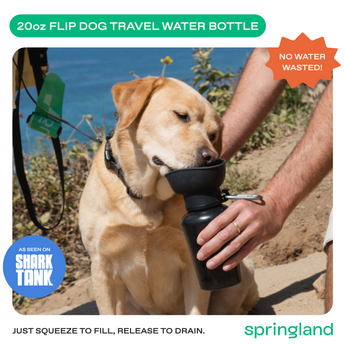 Springland Pets 20oz Flip Dog Travel Water Bottle in Black, image 3