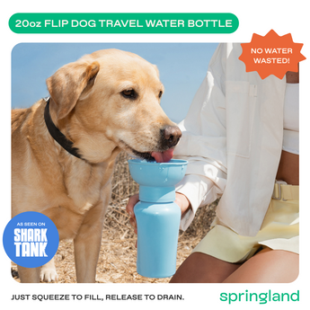 Springland Pets 20oz Flip Dog Travel Water Bottle in Sky Blue, image 2