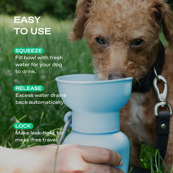 Springland Pets 20oz Flip Dog Travel Water Bottle in Sky Blue, image 3