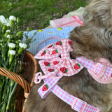 Close-up van opzij van de Strawberry Picnic Pup strik op een grijze hond naast een picknickmand