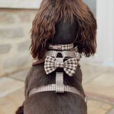 Rear view of chocolate spaniel wearing Cotswolds Check collar above a matching harness and bow tie