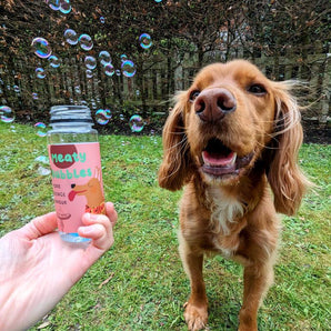 Dog chasing Meaty Bubbles outdoors while a bottle is held in the foreground