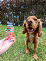 Dog chasing Meaty Bubbles outdoors while a bottle is held in the foreground