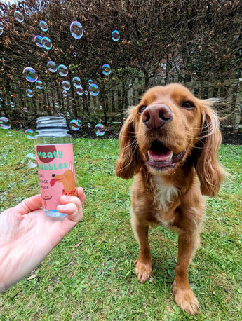Dog chasing Meaty Bubbles outdoors while a bottle is held in the foreground