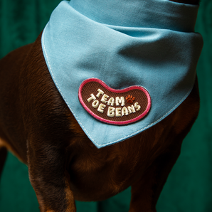 Team Toe Beans iron-on patch for pets