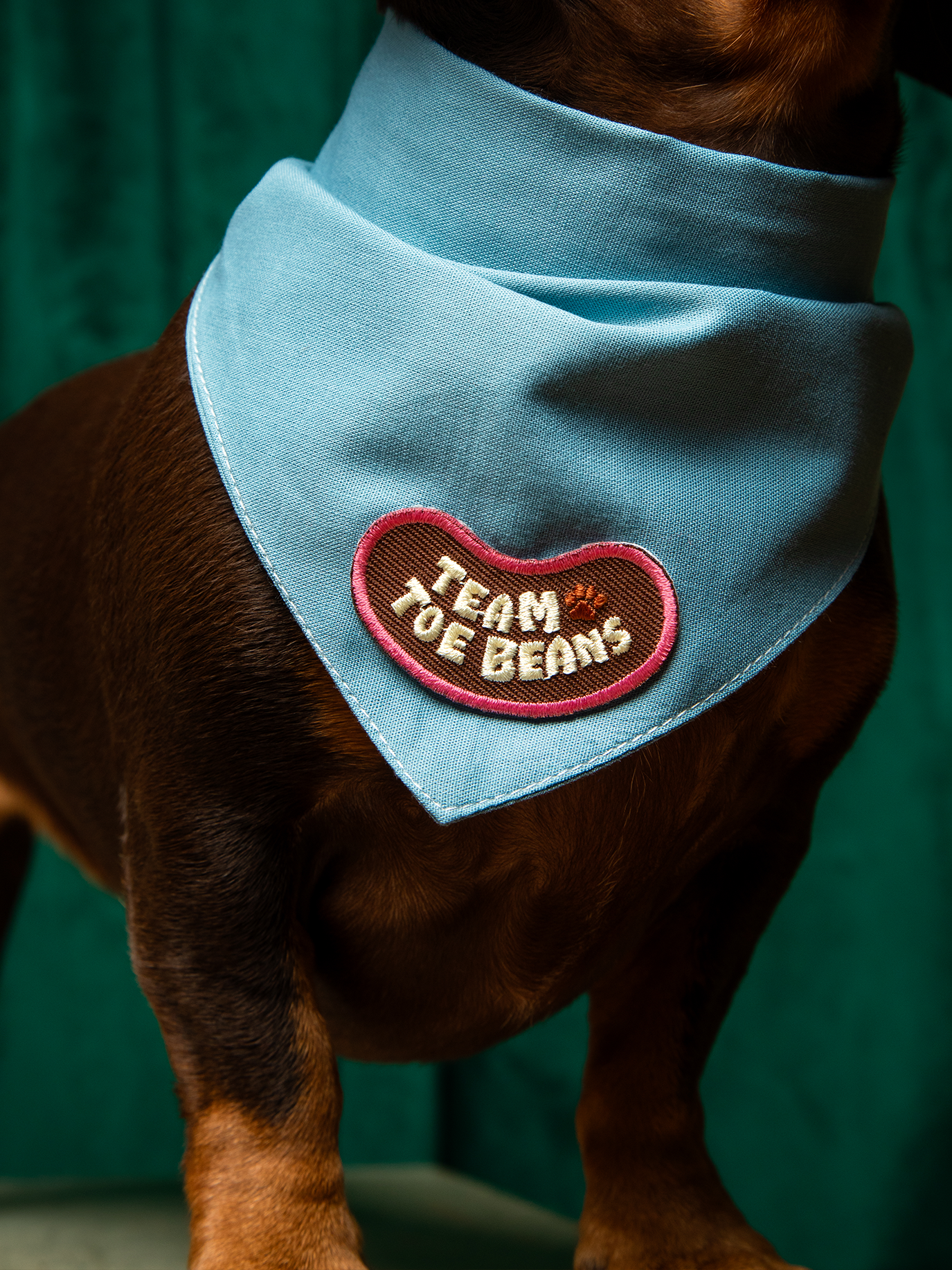 Team Toe Beans iron-on patch for pets