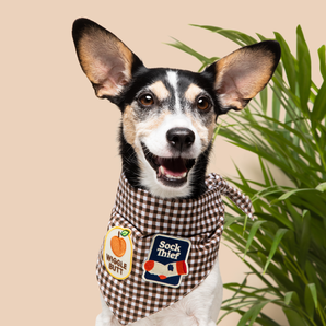 Wiggle Butt iron-on patch for dogs