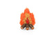 P.L.A.Y Camp Corbin Cozy Campfire