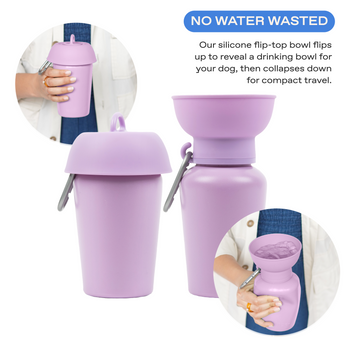 Springland Pets 20oz Flip Dog Travel Water Bottle in Lilac, image 2