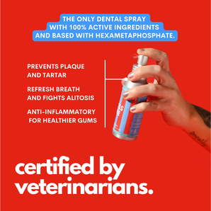 Kiss Me - Natural Dental Spray