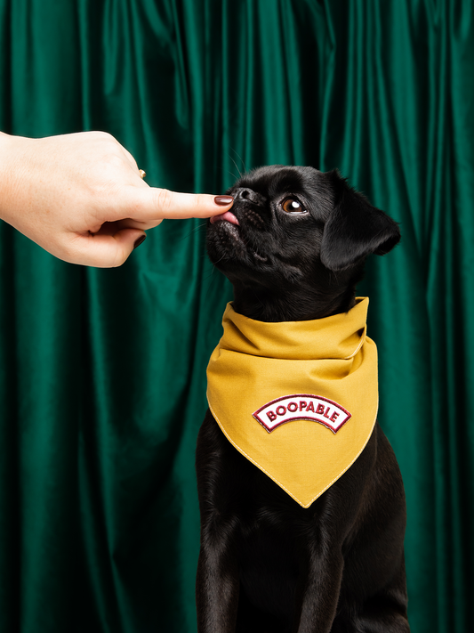 Boopable iron-on patch for dogs