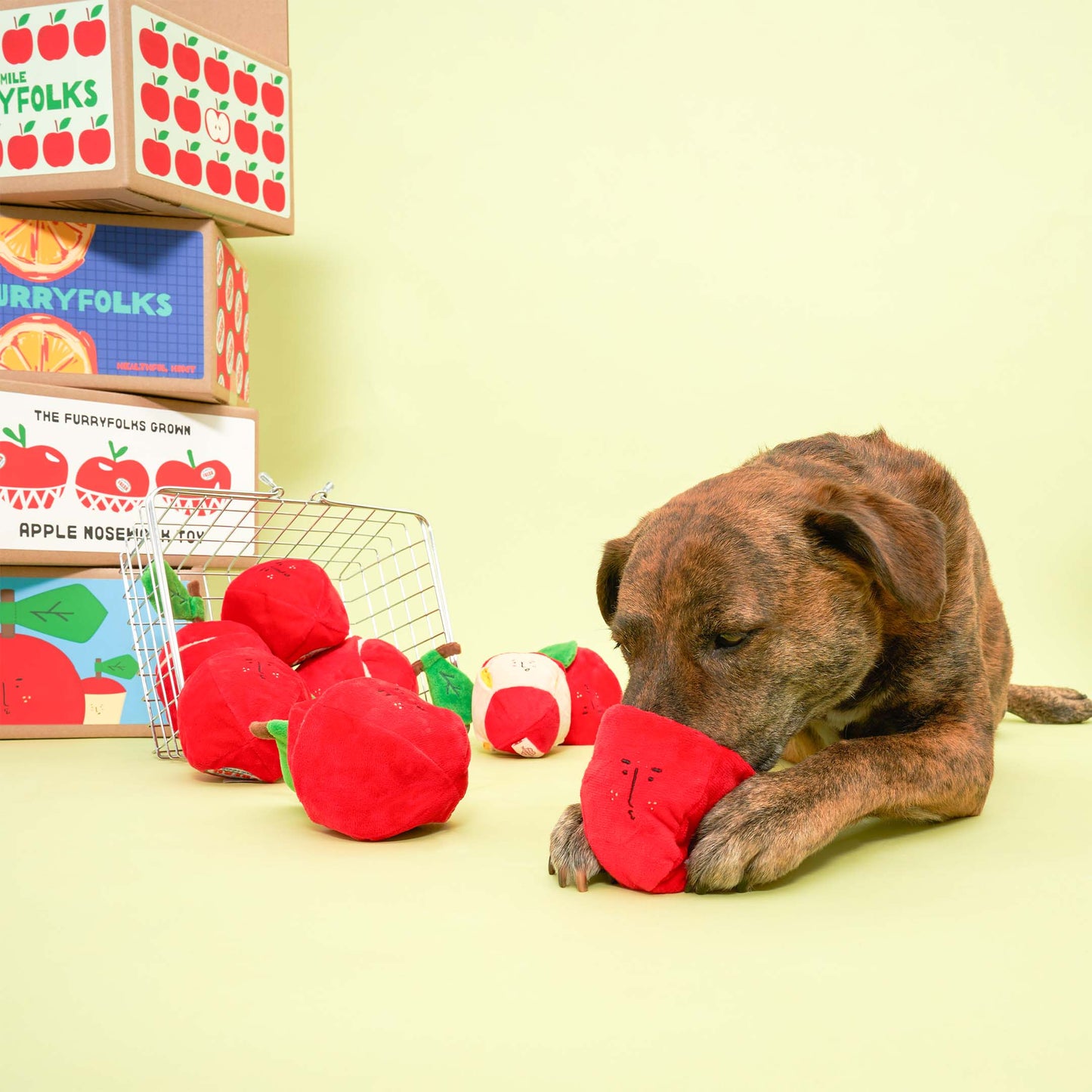 Apple Nose Work Toy