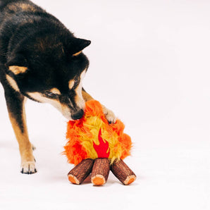 P.L.A.Y Camp Corbin Cozy Campfire