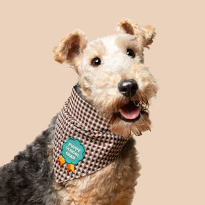 Puppy School Grad iron-on patch for dogs