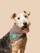 Puppy School Grad Opstrijkpatch